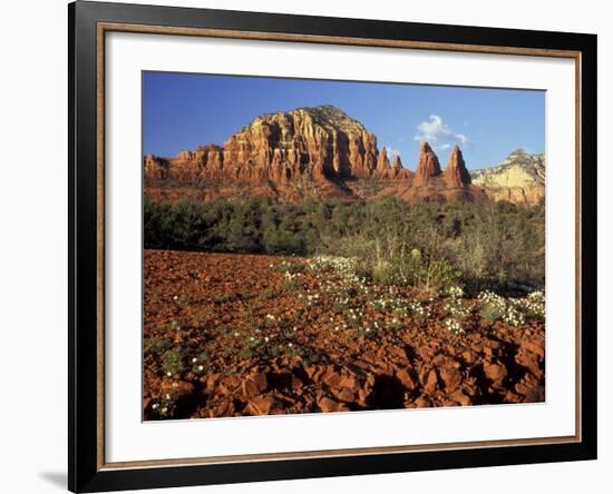 Red Rock Country, Sedona, Arizona, USA-Jamie & Judy Wild-Framed Photographic Print