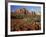 Red Rock Country, Sedona, Arizona, USA-Jamie & Judy Wild-Framed Photographic Print