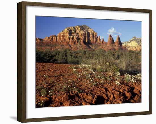 Red Rock Country, Sedona, Arizona, USA-Jamie & Judy Wild-Framed Photographic Print