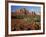 Red Rock Country, Sedona, Arizona, USA-Jamie & Judy Wild-Framed Photographic Print