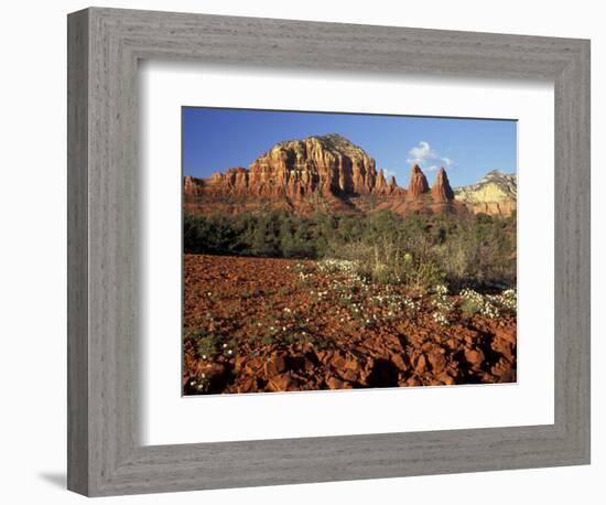 Red Rock Country, Sedona, Arizona, USA-Jamie & Judy Wild-Framed Photographic Print