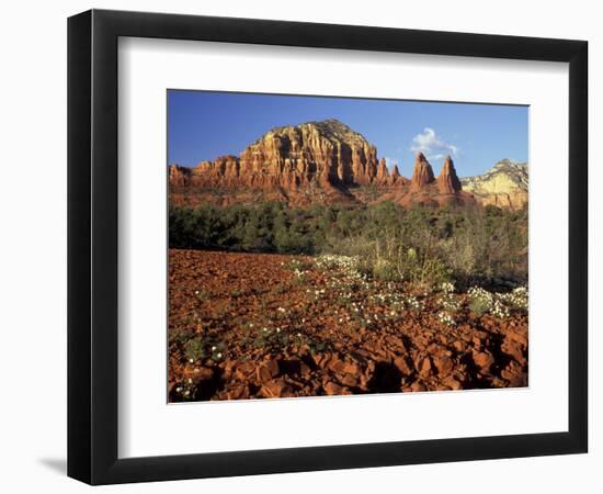 Red Rock Country, Sedona, Arizona, USA-Jamie & Judy Wild-Framed Photographic Print