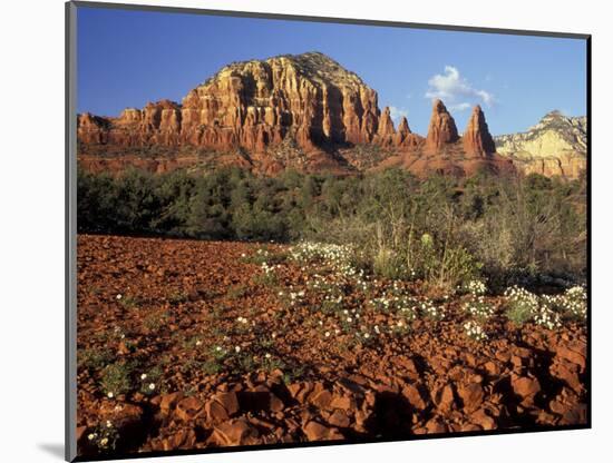 Red Rock Country, Sedona, Arizona, USA-Jamie & Judy Wild-Mounted Photographic Print