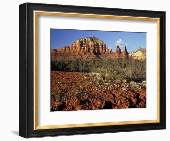 Red Rock Country, Sedona, Arizona, USA-Jamie & Judy Wild-Framed Photographic Print