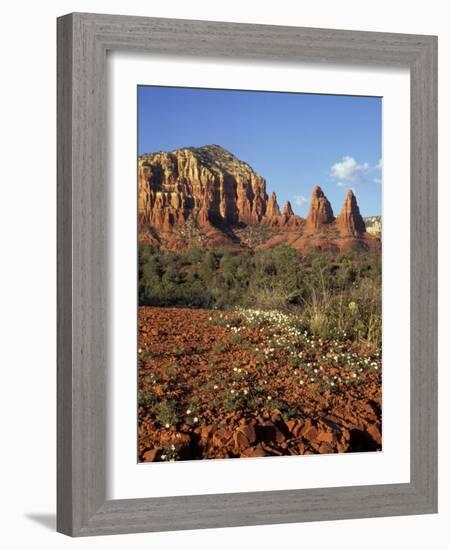 Red Rock Country with Spring Flowers, Sedona, Arizona, USA-Jamie & Judy Wild-Framed Photographic Print