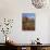 Red Rock Country with Spring Flowers, Sedona, Arizona, USA-Jamie & Judy Wild-Photographic Print displayed on a wall