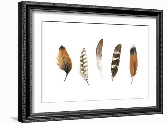 Red Rock Feathers I-Grace Popp-Framed Art Print