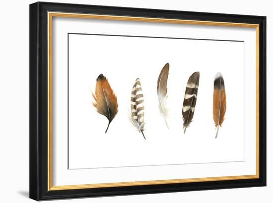 Red Rock Feathers I-Grace Popp-Framed Art Print