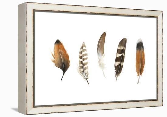 Red Rock Feathers I-Grace Popp-Framed Stretched Canvas