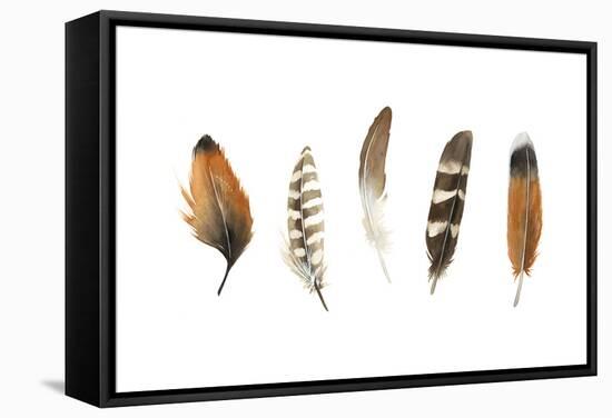 Red Rock Feathers I-Grace Popp-Framed Stretched Canvas