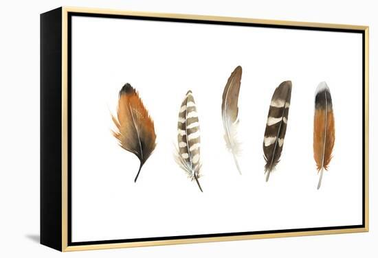 Red Rock Feathers I-Grace Popp-Framed Stretched Canvas