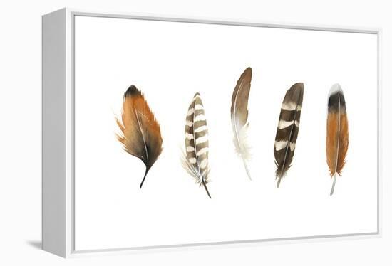 Red Rock Feathers I-Grace Popp-Framed Stretched Canvas