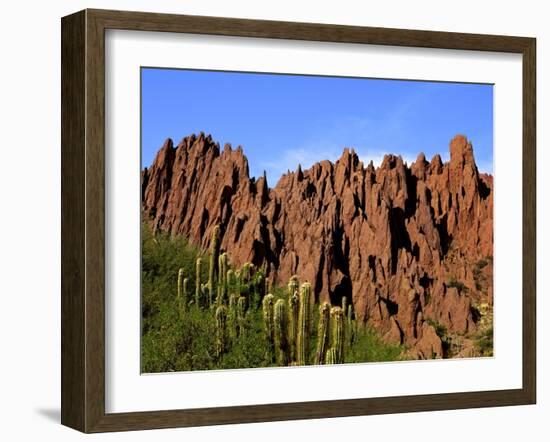 Red Rock Formations in the Canon del Inca, Tupiza Chichas Range, Andes, Southwestern Bolivia-Simon Montgomery-Framed Photographic Print