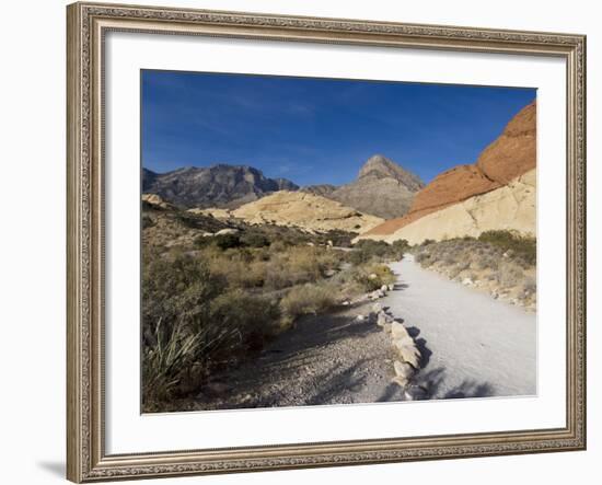 Red Rock National Conservation Area, Las Vegas, Nevada, United States of America, North America-Ethel Davies-Framed Photographic Print