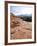 Red Rock National Conservation Area, Las Vegas, Nevada, United States of America, North America-Ethel Davies-Framed Photographic Print