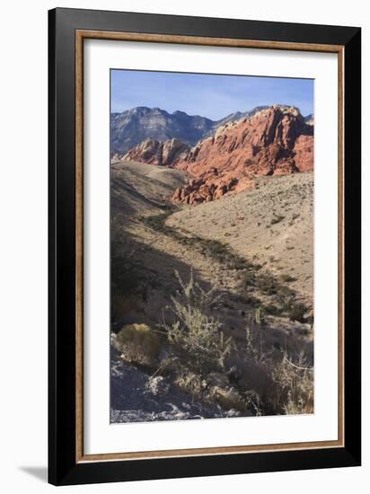 Red Rock National Conservation Area, Las Vegas, Nevada, United States-Natalie Tepper-Framed Photo