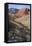 Red Rock National Conservation Area, Las Vegas, Nevada, United States-Natalie Tepper-Framed Stretched Canvas