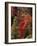 Red Rock, Red Canyon, Utah, USA-Michel Hersen-Framed Photographic Print