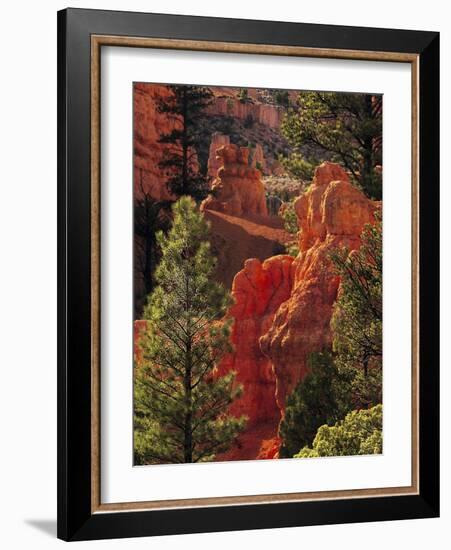 Red Rock, Red Canyon, Utah, USA-Michel Hersen-Framed Photographic Print