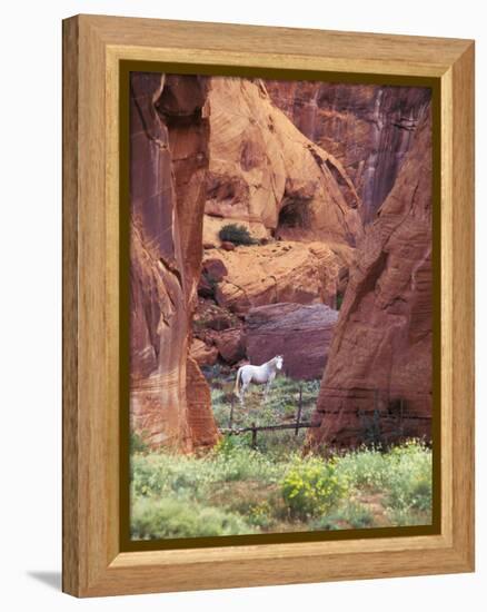 Red Rock, White Horse, White Mountains, Canyon De Chelly, Arizona, USA-Nancy Rotenberg-Framed Premier Image Canvas