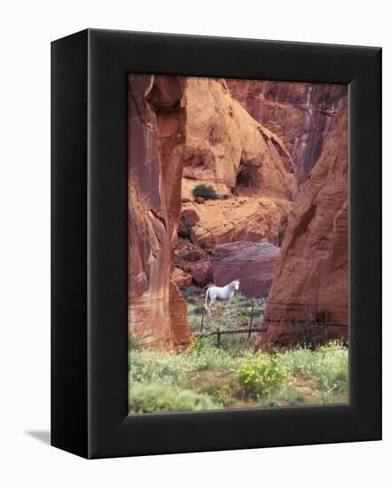 Red Rock, White Horse, White Mountains, Canyon De Chelly, Arizona, USA-Nancy Rotenberg-Framed Premier Image Canvas