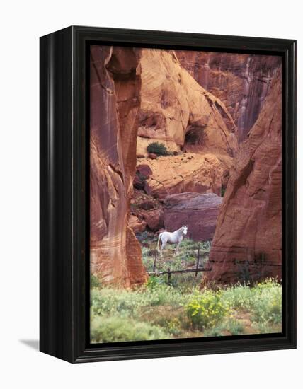 Red Rock, White Horse, White Mountains, Canyon De Chelly, Arizona, USA-Nancy Rotenberg-Framed Premier Image Canvas