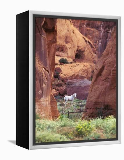 Red Rock, White Horse, White Mountains, Canyon De Chelly, Arizona, USA-Nancy Rotenberg-Framed Premier Image Canvas