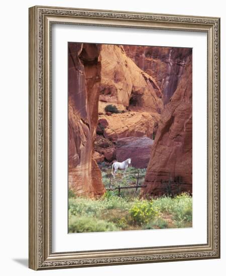 Red Rock, White Horse, White Mountains, Canyon De Chelly, Arizona, USA-Nancy Rotenberg-Framed Photographic Print