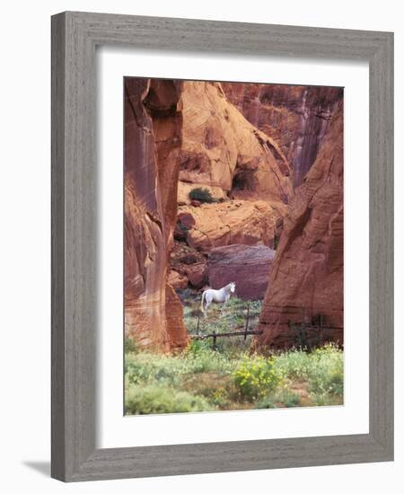 Red Rock, White Horse, White Mountains, Canyon De Chelly, Arizona, USA-Nancy Rotenberg-Framed Photographic Print