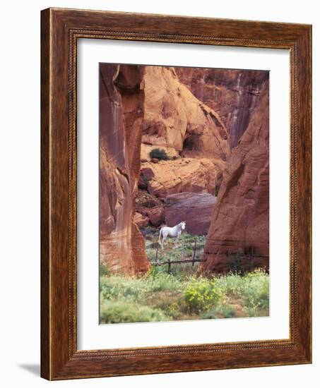 Red Rock, White Horse, White Mountains, Canyon De Chelly, Arizona, USA-Nancy Rotenberg-Framed Photographic Print