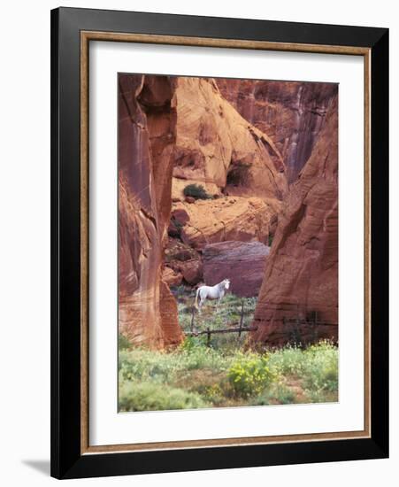 Red Rock, White Horse, White Mountains, Canyon De Chelly, Arizona, USA-Nancy Rotenberg-Framed Photographic Print