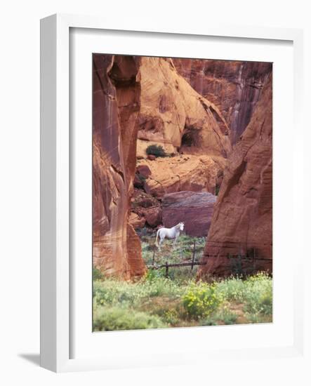 Red Rock, White Horse, White Mountains, Canyon De Chelly, Arizona, USA-Nancy Rotenberg-Framed Photographic Print