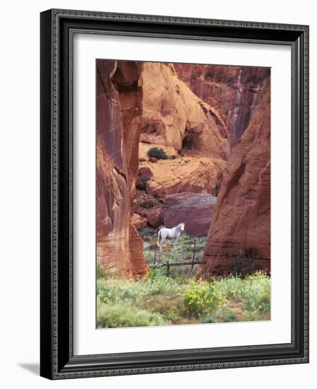 Red Rock, White Horse, White Mountains, Canyon De Chelly, Arizona, USA-Nancy Rotenberg-Framed Photographic Print