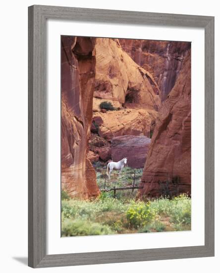 Red Rock, White Horse, White Mountains, Canyon De Chelly, Arizona, USA-Nancy Rotenberg-Framed Photographic Print