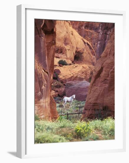 Red Rock, White Horse, White Mountains, Canyon De Chelly, Arizona, USA-Nancy Rotenberg-Framed Photographic Print