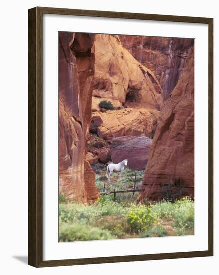 Red Rock, White Horse, White Mountains, Canyon De Chelly, Arizona, USA-Nancy Rotenberg-Framed Photographic Print