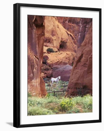 Red Rock, White Horse, White Mountains, Canyon De Chelly, Arizona, USA-Nancy Rotenberg-Framed Photographic Print