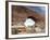 Red Rock "Window" at Arches National Park, Moab, Utah-Carol Highsmith-Framed Photo