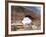 Red Rock "Window" at Arches National Park, Moab, Utah-Carol Highsmith-Framed Photo