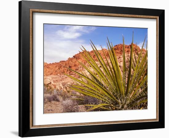 Red Rocks National Conservation Area, Mojave, Yucca, Nevada, USA-Brent Bergherm-Framed Photographic Print