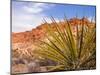 Red Rocks National Conservation Area, Mojave, Yucca, Nevada, USA-Brent Bergherm-Mounted Photographic Print