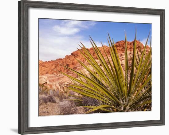 Red Rocks National Conservation Area, Mojave, Yucca, Nevada, USA-Brent Bergherm-Framed Photographic Print