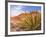 Red Rocks National Conservation Area, Mojave, Yucca, Nevada, USA-Brent Bergherm-Framed Photographic Print