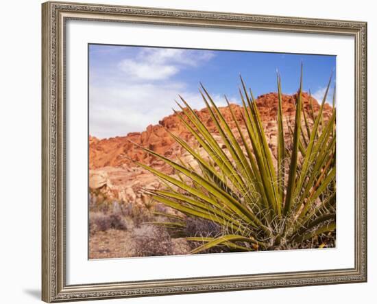 Red Rocks National Conservation Area, Mojave, Yucca, Nevada, USA-Brent Bergherm-Framed Photographic Print