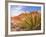 Red Rocks National Conservation Area, Mojave, Yucca, Nevada, USA-Brent Bergherm-Framed Photographic Print