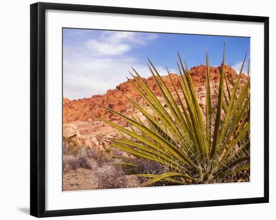 Red Rocks National Conservation Area, Mojave, Yucca, Nevada, USA-Brent Bergherm-Framed Photographic Print