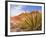 Red Rocks National Conservation Area, Mojave, Yucca, Nevada, USA-Brent Bergherm-Framed Photographic Print