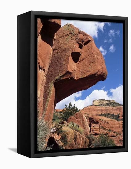 Red Rocks, Sedona, Arizona, USA-R H Productions-Framed Premier Image Canvas