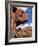 Red Rocks, Sedona, Arizona, USA-R H Productions-Framed Photographic Print