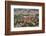 Red roof houses on the hill side, Sarajevo, Bosnia and Herzegovina-Keren Su-Framed Photographic Print